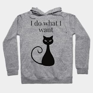 I do what I want Hoodie